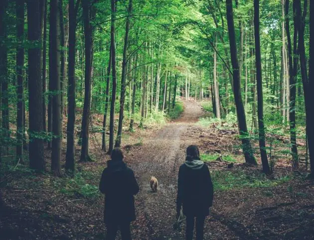 chris-lutke-vkJhH9ScEtU-unsplash