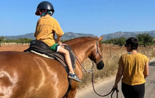 resized_kid_horse_top